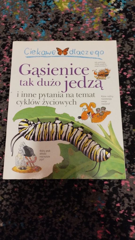 Ciekawe dlaczego zestaw 8  książek
