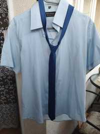Komplet koszula męska z krawatem i spodnie