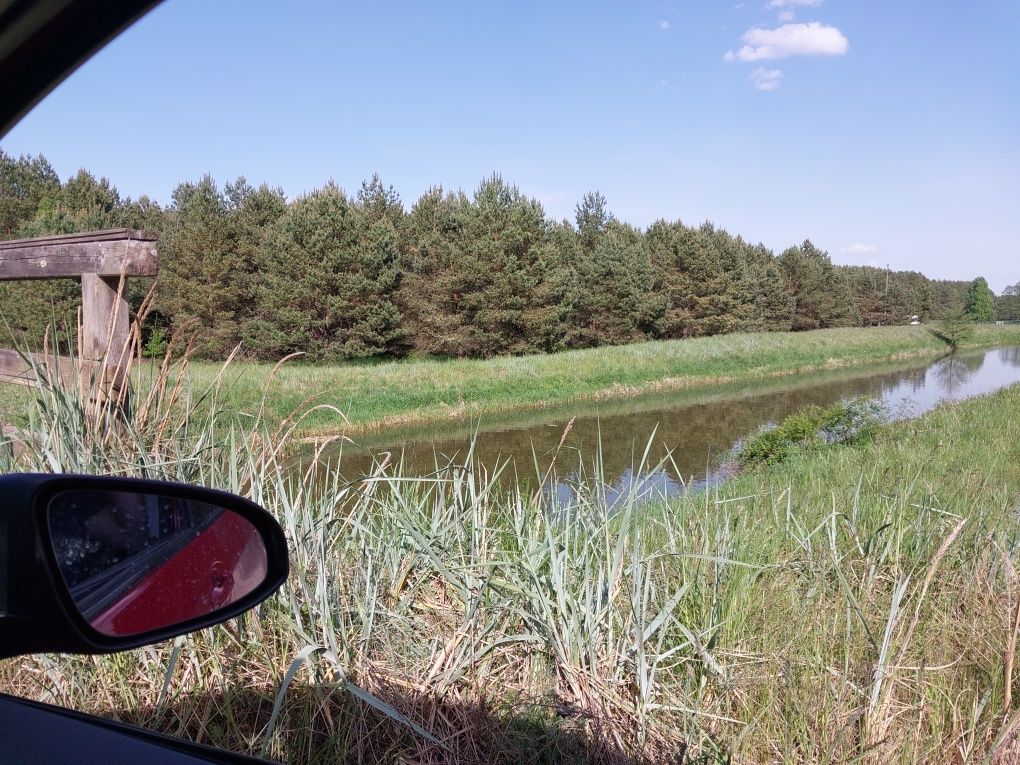 Wydzierżawię działkę z dostępem do rzeki Borsk