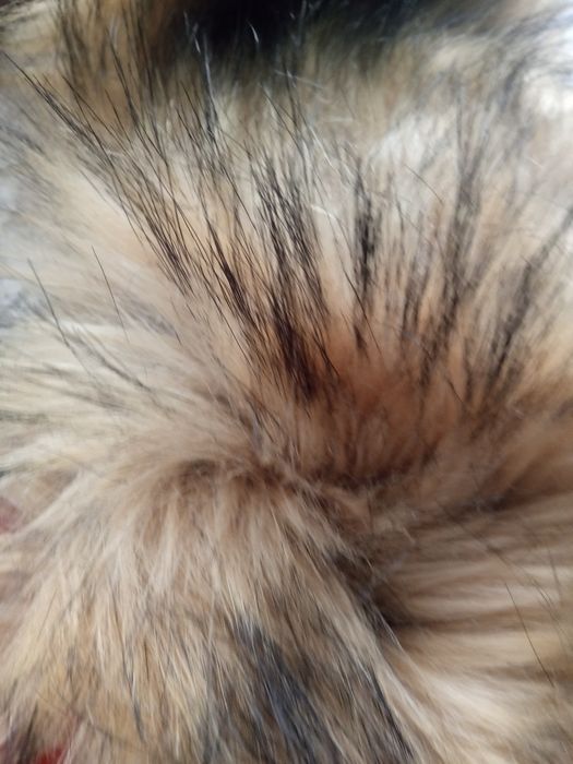 Нова,жіноча куртка парка зимова