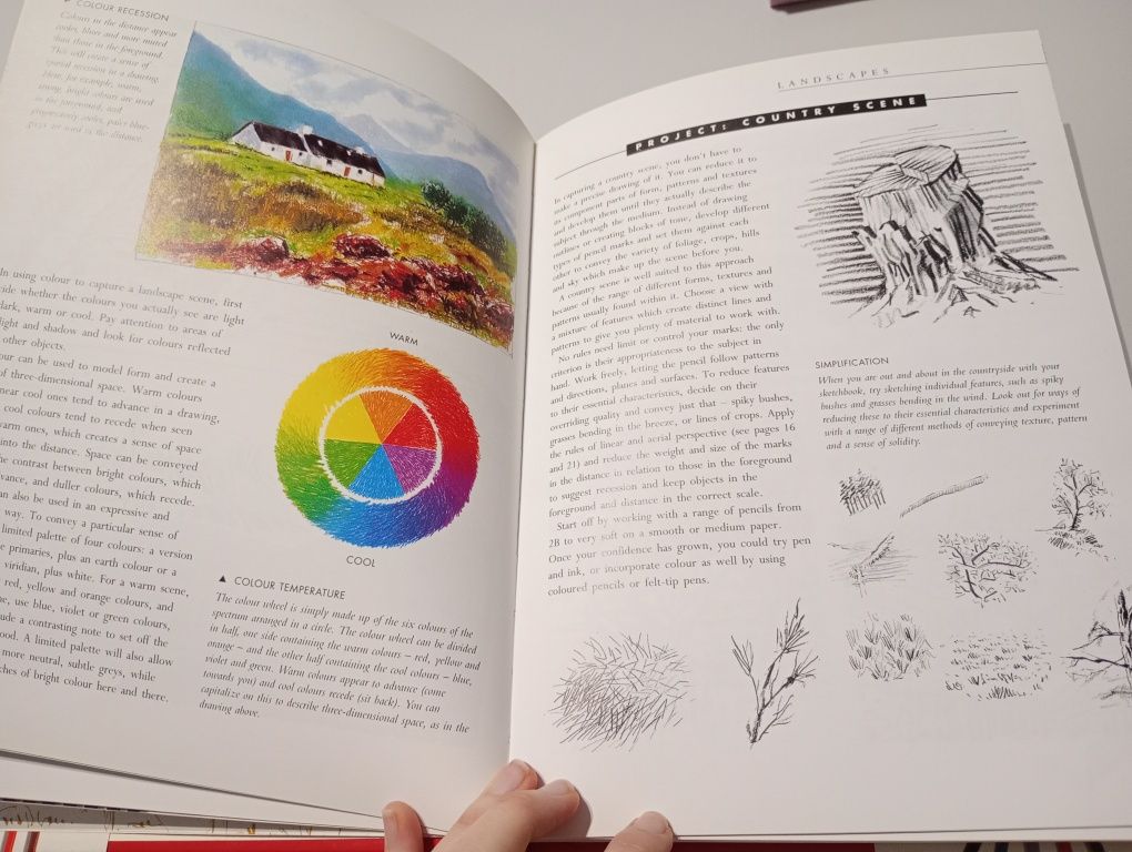How to draw anything Angela Gair