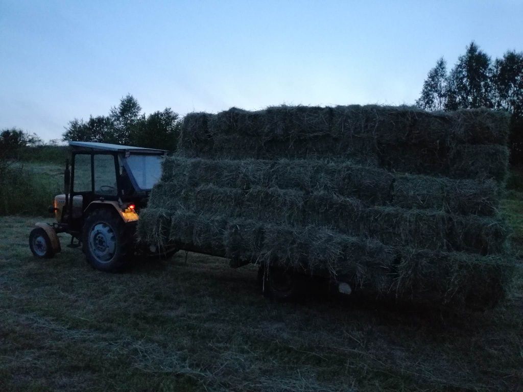 Siano kostka 2025r. Z prasy z224 duże kostki