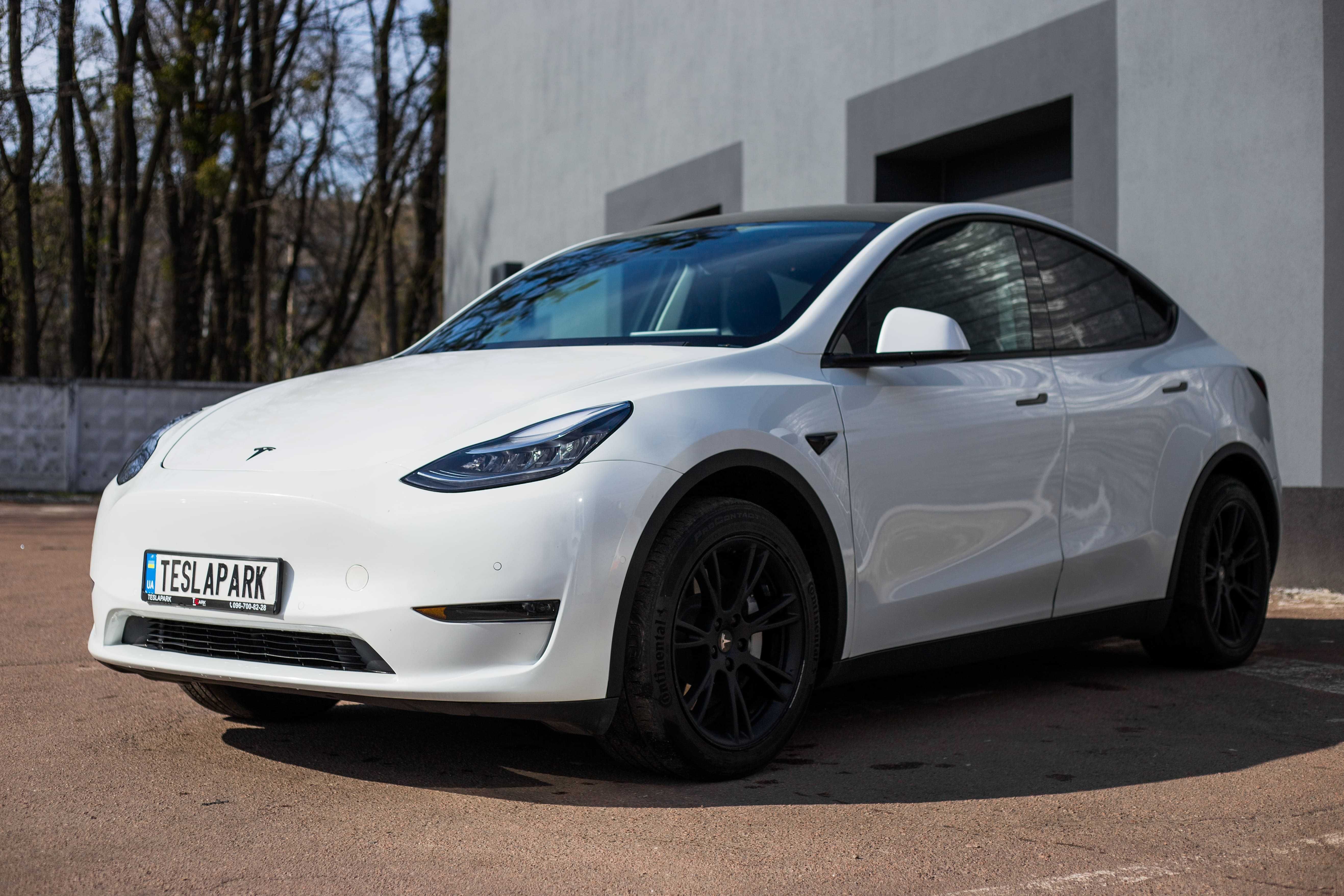 Tesla Model Y Long Range Dual Motor 2020 р.в.