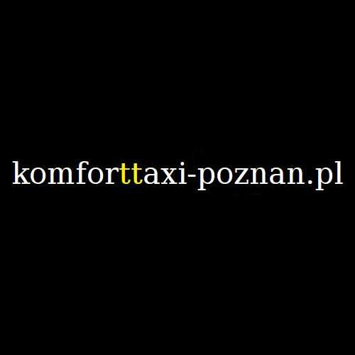 Prywatny przewóz osób/TAXI Poznań/ transport na lotnisko