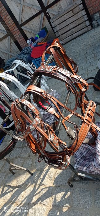 Szor puszorek ogłowie