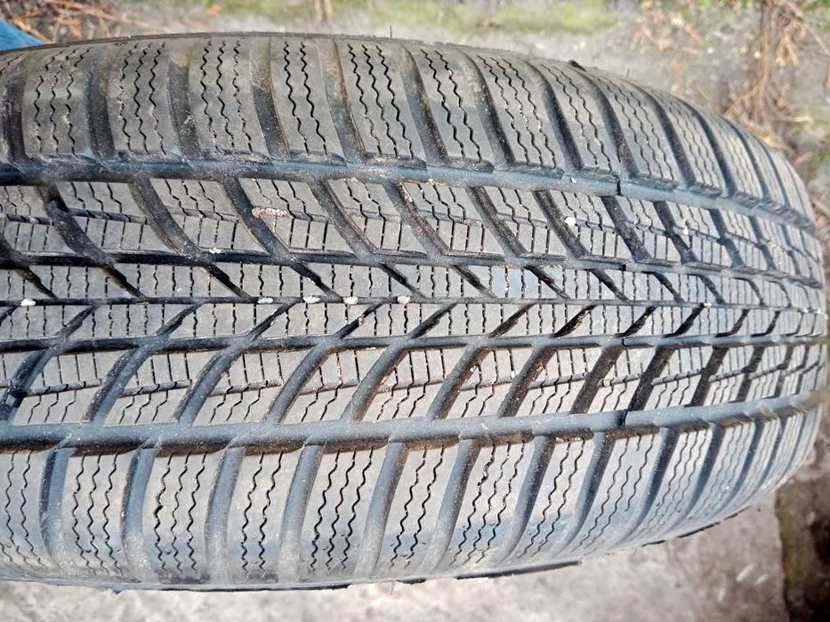 Шина Автомобильная