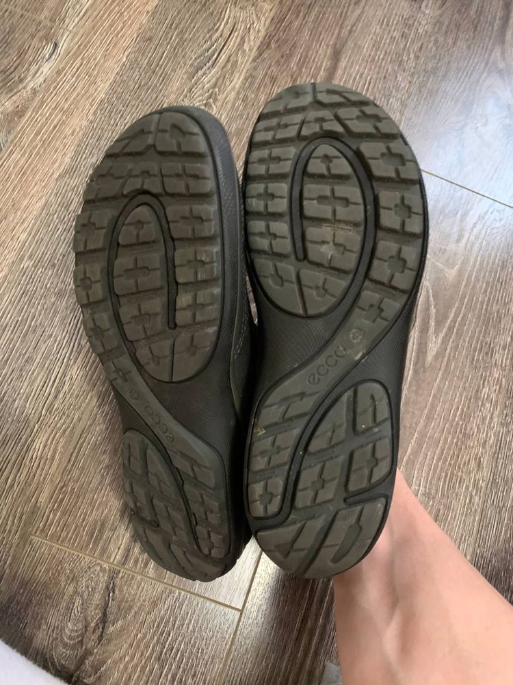 Кросівки Ecco Biom Grip