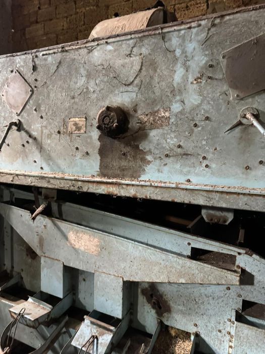 Пектус гігант 531