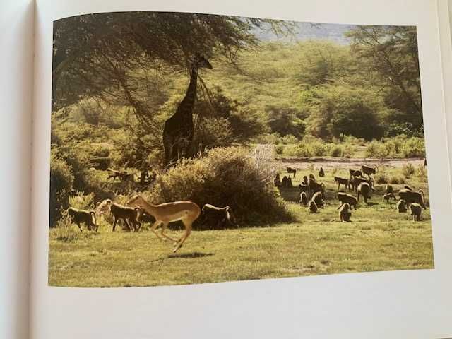 Livro de fotografia "Bichos", de Cruz-Filipe