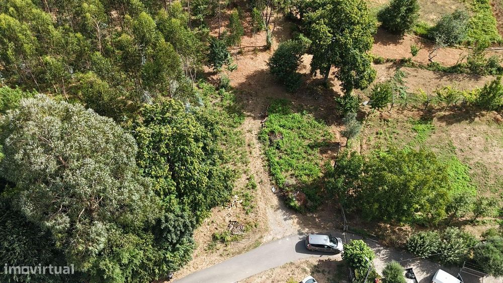 Terreno de Construção em Vitorino de Piães