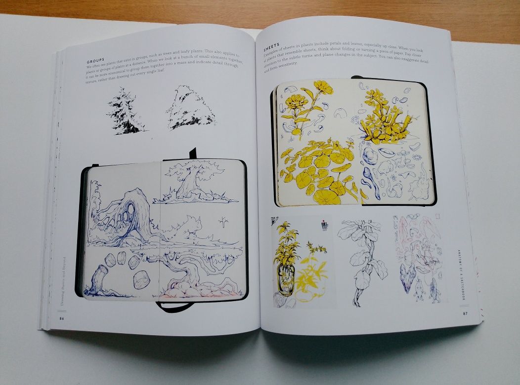 Sketchbook Master Class: Drawing Basics and Beyond Sorie Kim rysowanie