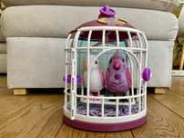 Dwie papużki w klatce Little Live Pets