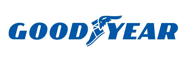 Opony 225/45R17 całoroczne 225/45/17 GOODYEAR (osobowe) OO14333