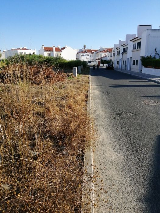 Terreno Porto covo