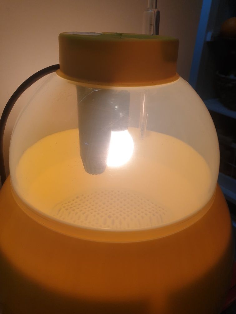 Inkubator do jaj Covatutto 16