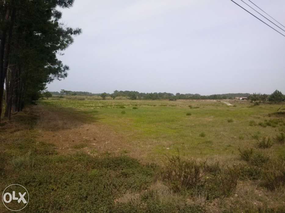 Arrenda-se terreno na Costa Vicentina - Aljezur