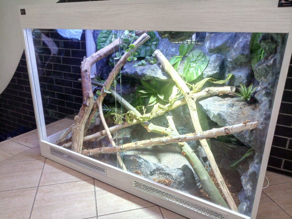 Terrarium dla legwana 130/50/95 podgrzewany basen