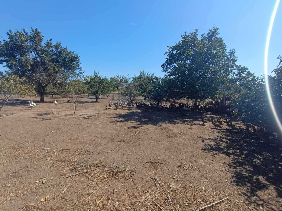 Продам Дом в Корабельном районе ул. Фруктовая