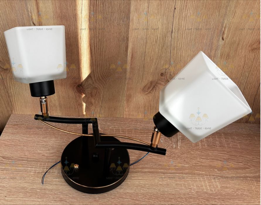 Люстра на 2 лампочки з направляючими плафонами