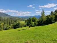 Продам земельну ділянку в Славську
