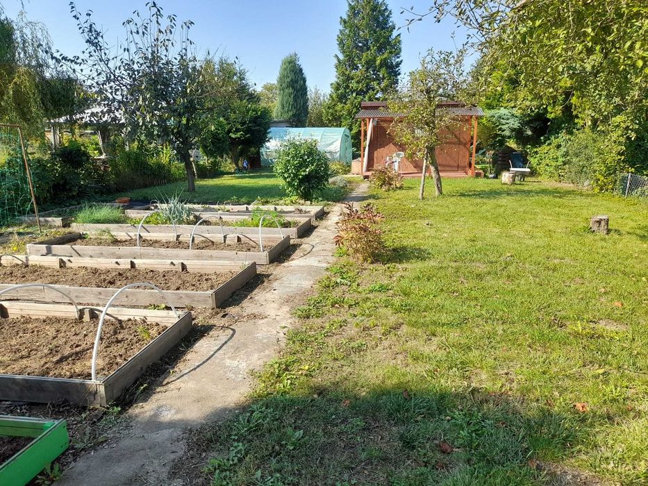 Działka ROD Swoboda Toruń