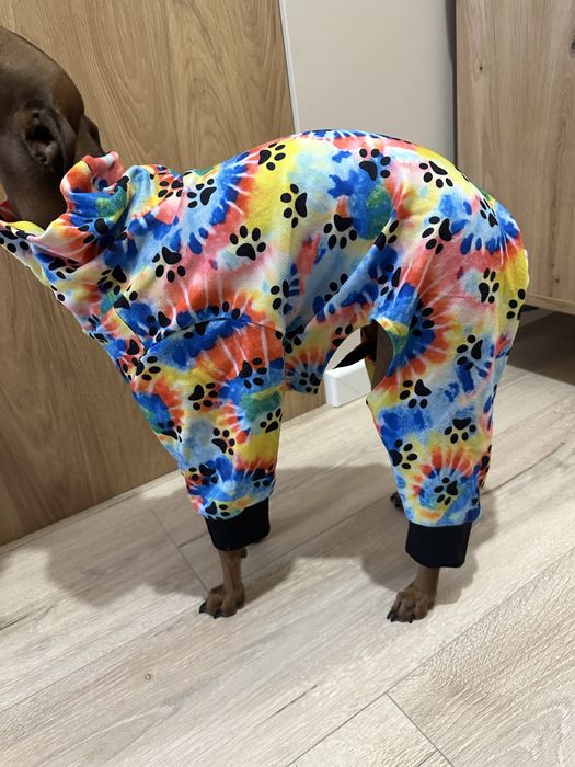 Piżamka dla psa charcik włoski, whippet