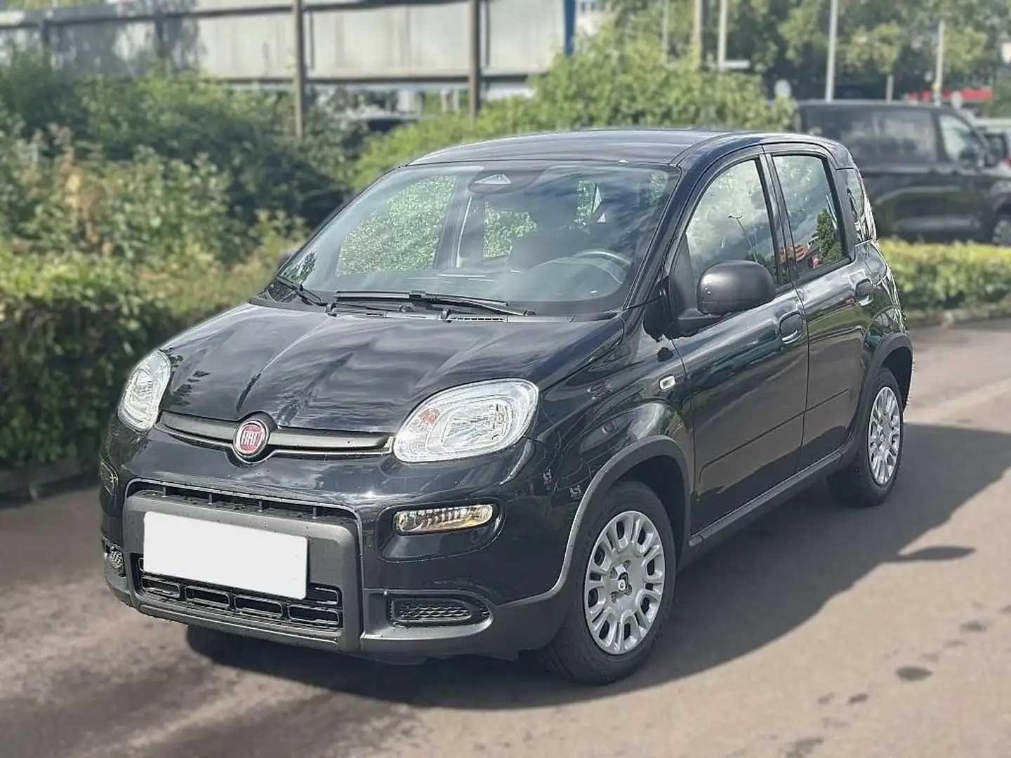 Fiat Panda 1.0 FireFly Híbrido
