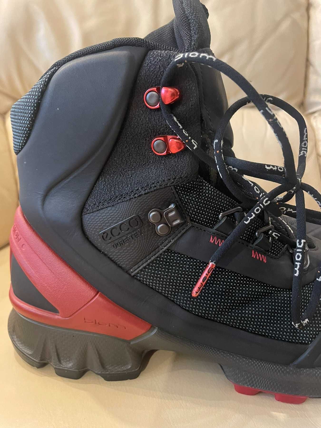 Зимові черевики Ecco biom hike gore tex