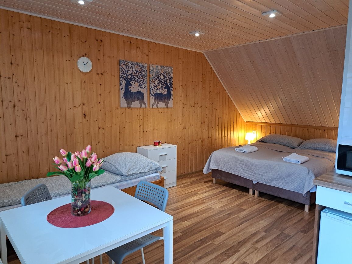 Noclegi Pod Modrzewiem wolne 11-14.07