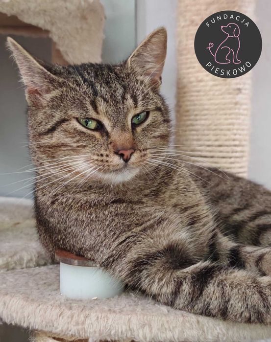 Lolek szuka domu < 3