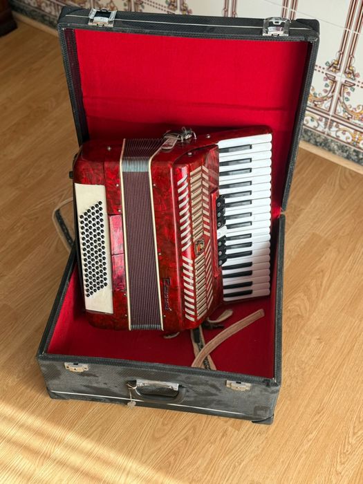 Acordeão PARROT (Como Novo)
