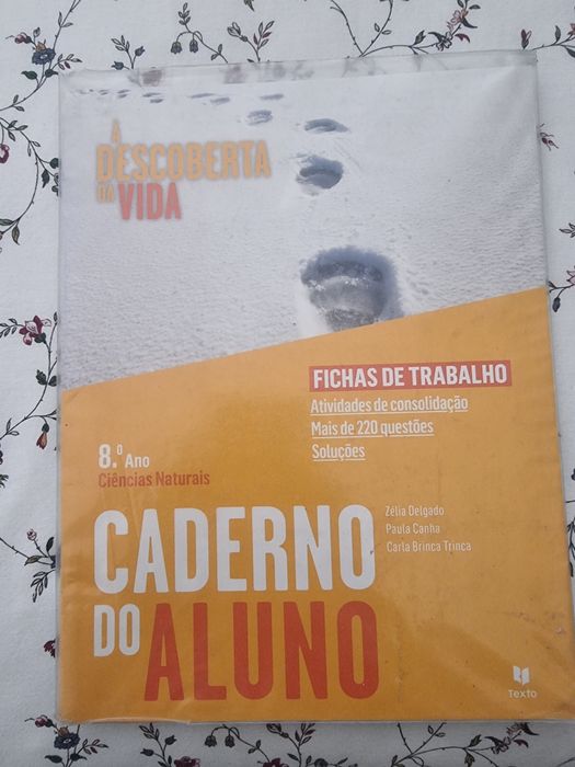 Caderno de Atividades 8° Ano Plastificados