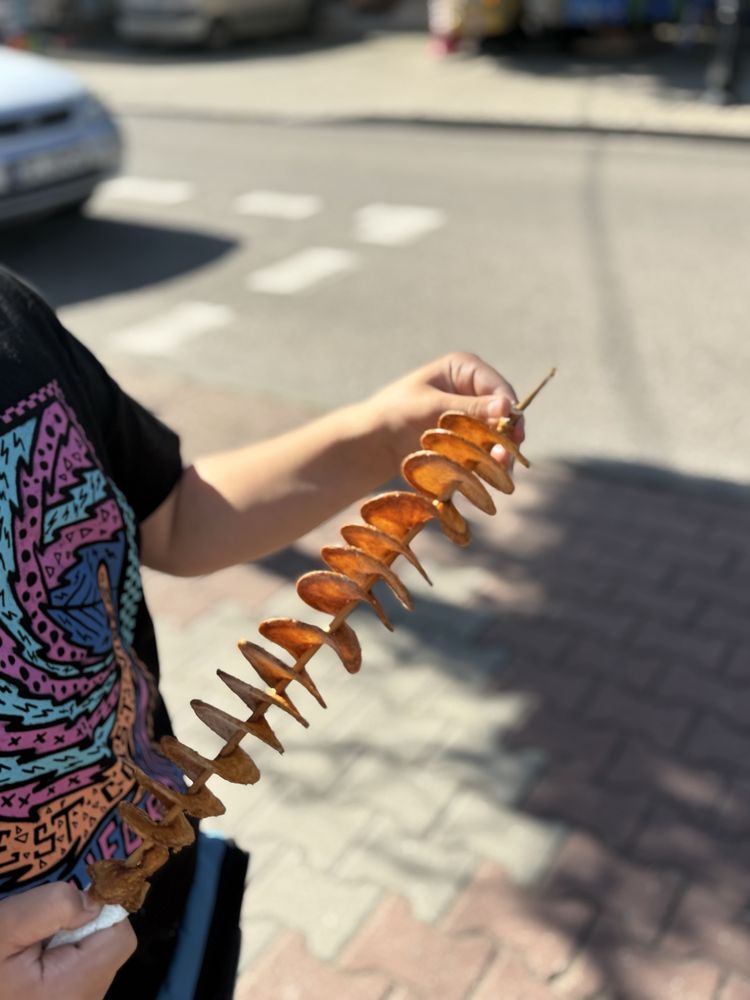 ZAKRĘCONY ZIEMNIAK / FRYTKA + POPCORN / Gotowe stanowisko do pracy !