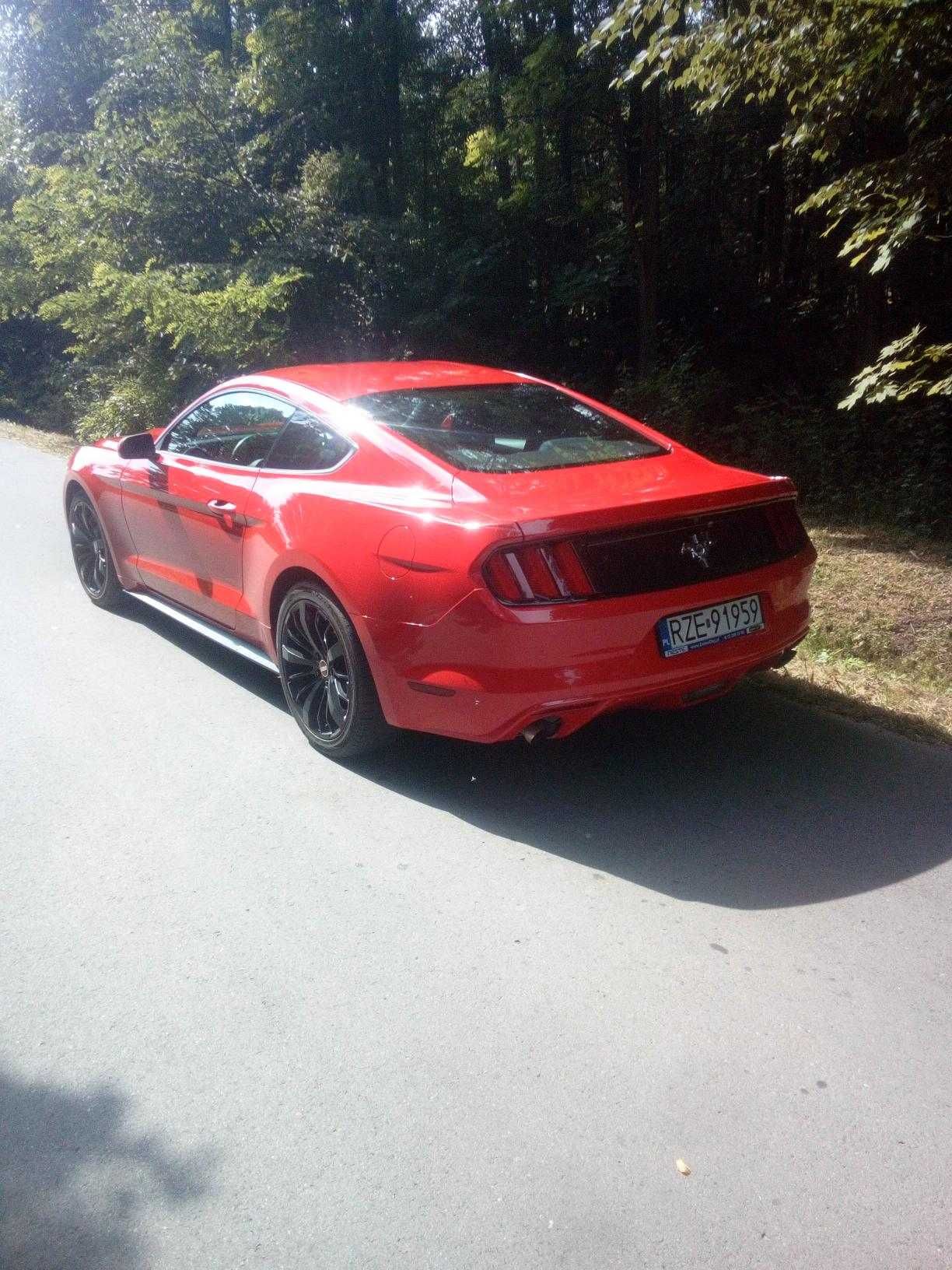 MUSTANG wynajem ślub sesje samochód do ślubu wesele :) + bus 9 osób