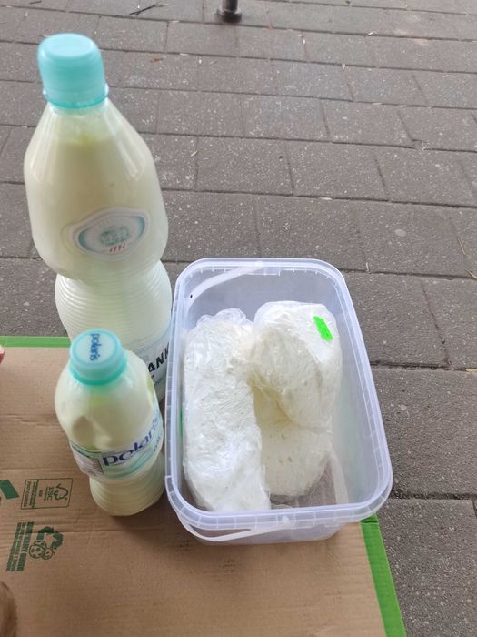 Mleko, ser, śmietana, masło