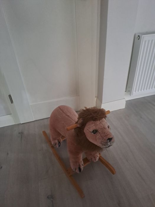 Lew na biegunach ODBIÓR OSOBISTY