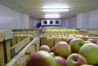 Воздухоохладители, агрегат, камера охлаждения яблок фруктов Николаев