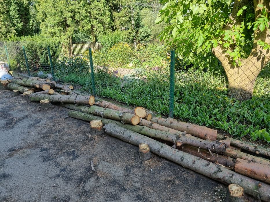Drewno opałowe wałki (świerk)