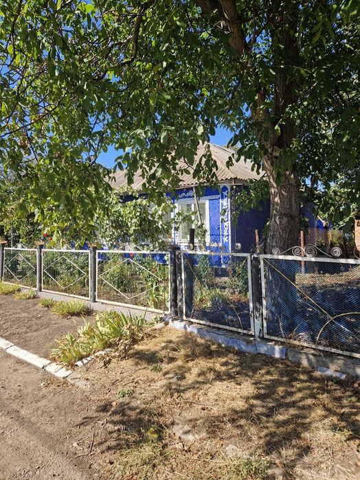 Продам дом в селі Олександрівка, Доманівського району