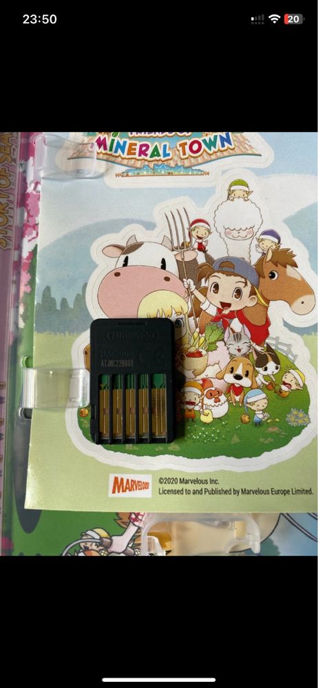 Story of Seasons Friends of Mineral Town SWITCH