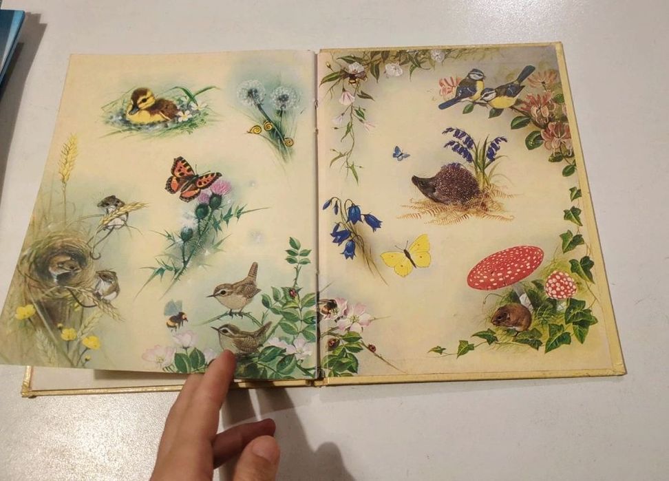 O esquilo, Colecção Vida Animal