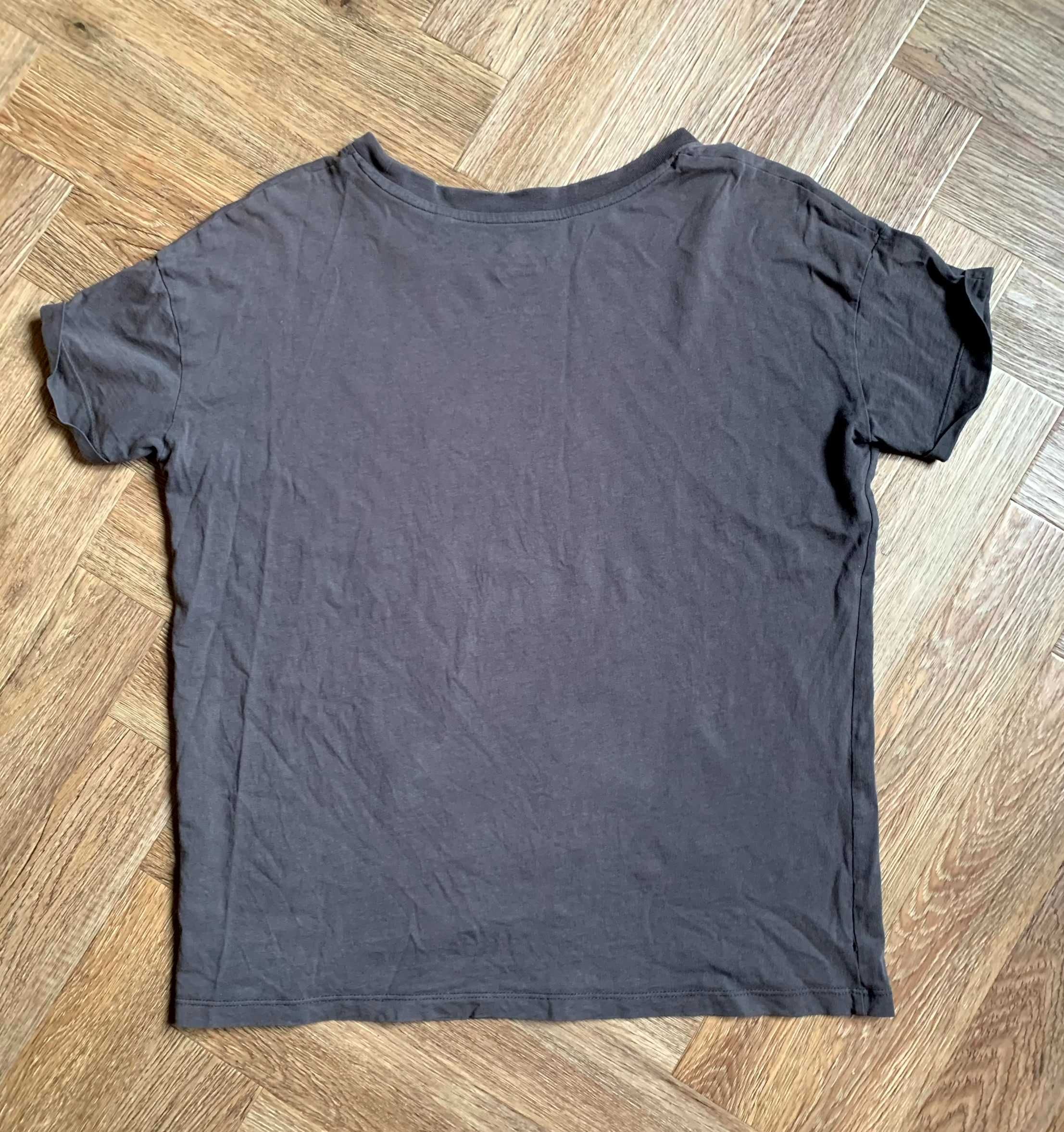 House Wilk i Zając szary t-shirt koszulka z nadrukiem rozm. XS 34 BDB