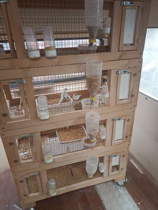 Klatki boksy na drobną egzotyka