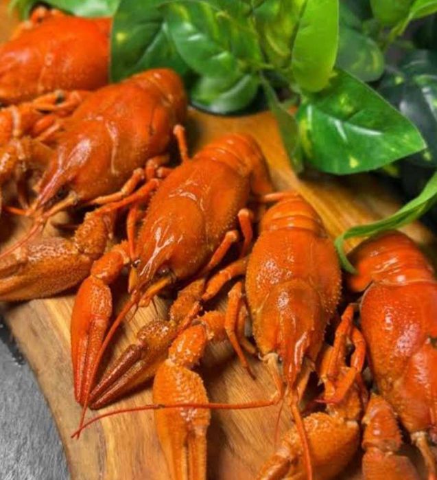 Продам живі раки та варені