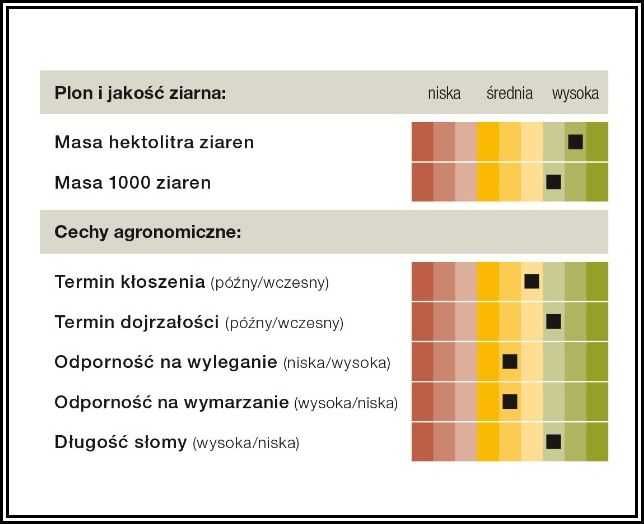 Owies Ozimy KWS SNOWBIRD - Nawet 9t. z hektara - Nasiona Owsa Ozimego