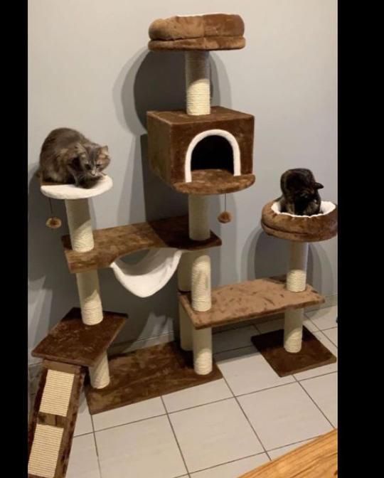 Игровой комплекс дерево для кота. Домик когтеточка драпак