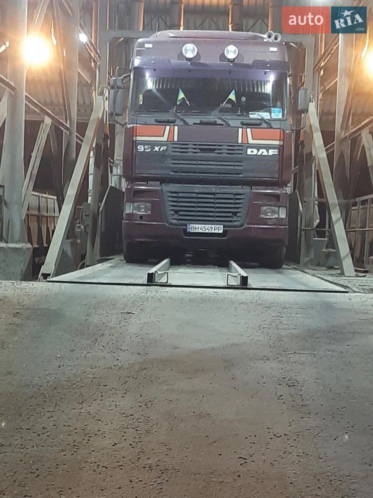 DAF 95XF + зерновоз (бортовий напівпричіп)