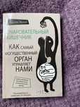 Очаровательный кишечник. Тук тук сердце