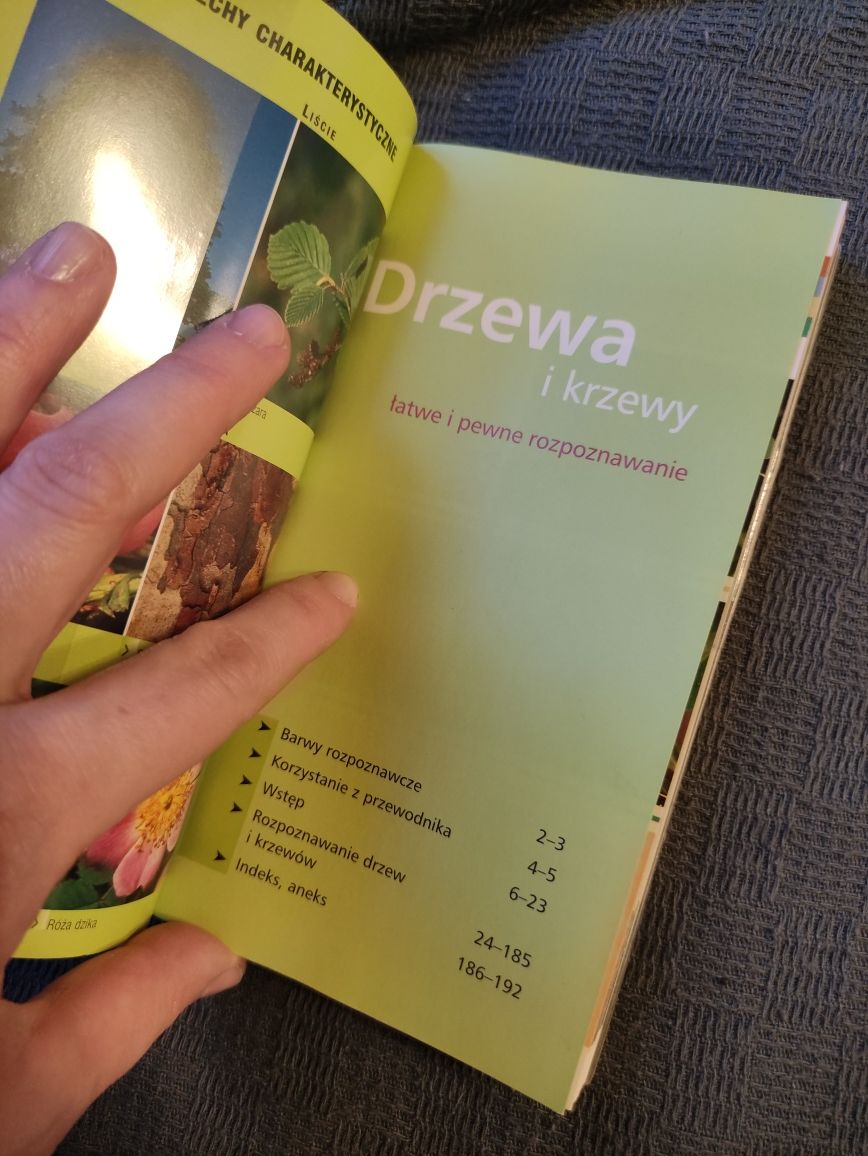 Przewodnik Drzewa i Krzewy olesiejuk