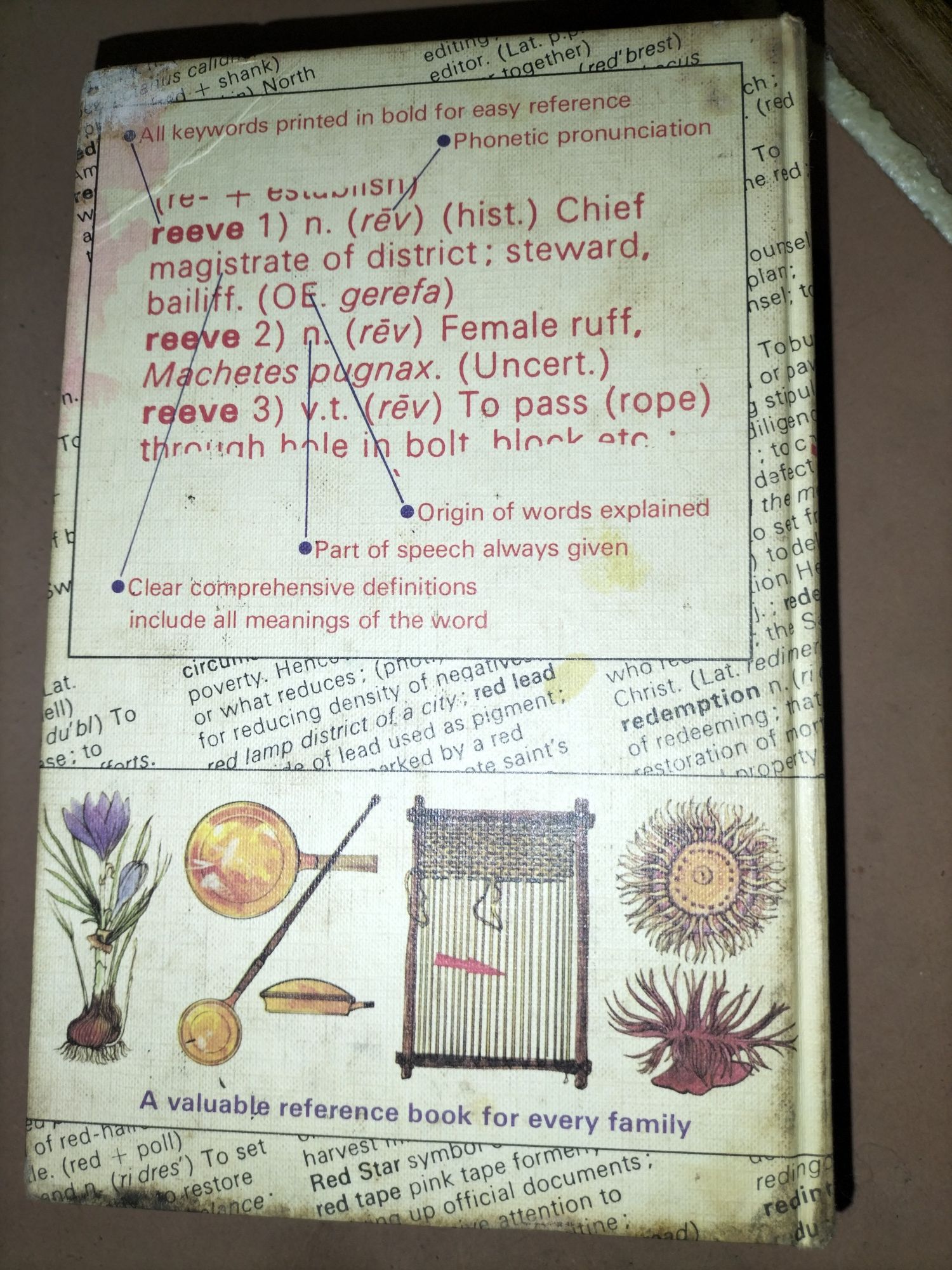 Purnells Family Dictionary in colour